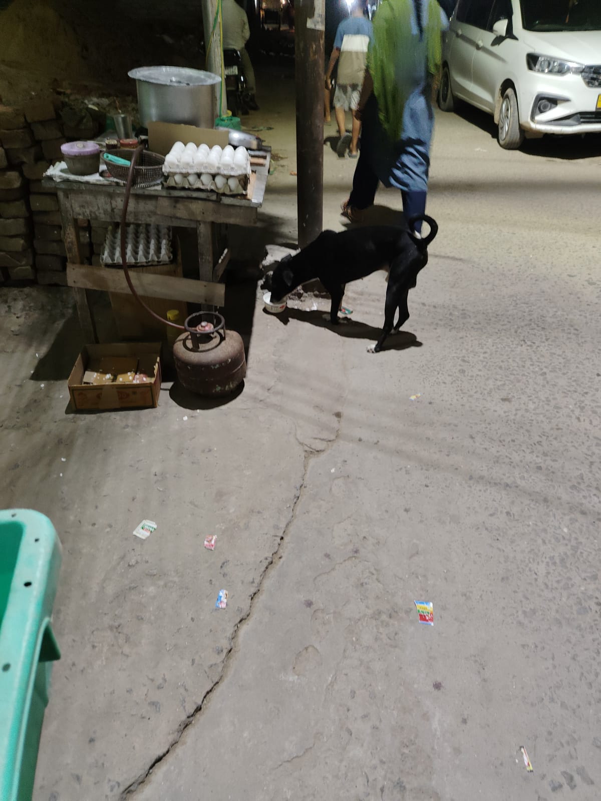 Afternoon Feeding Drive in Commercial Zone