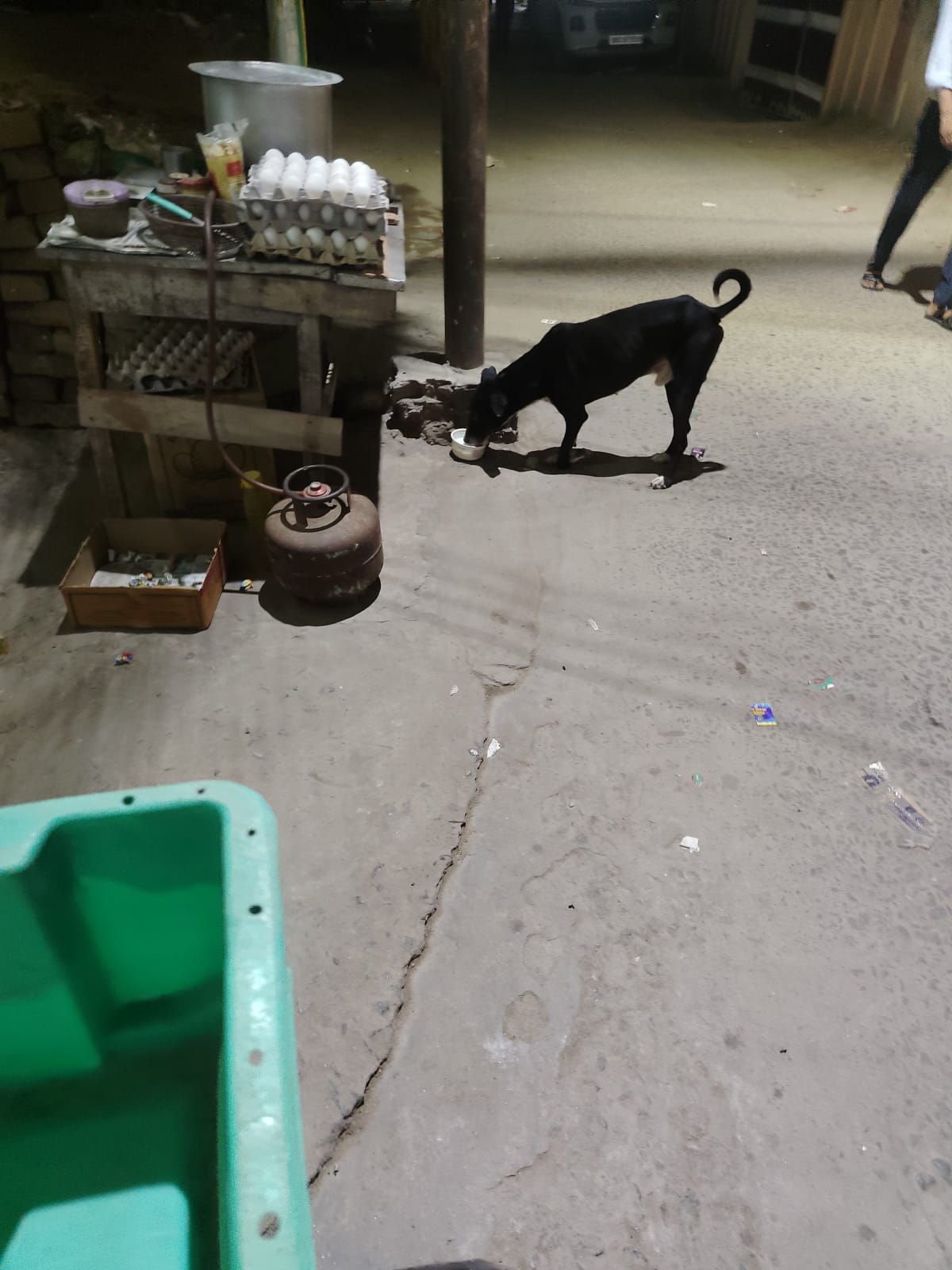 Puppy Litter Emergency Nutrition