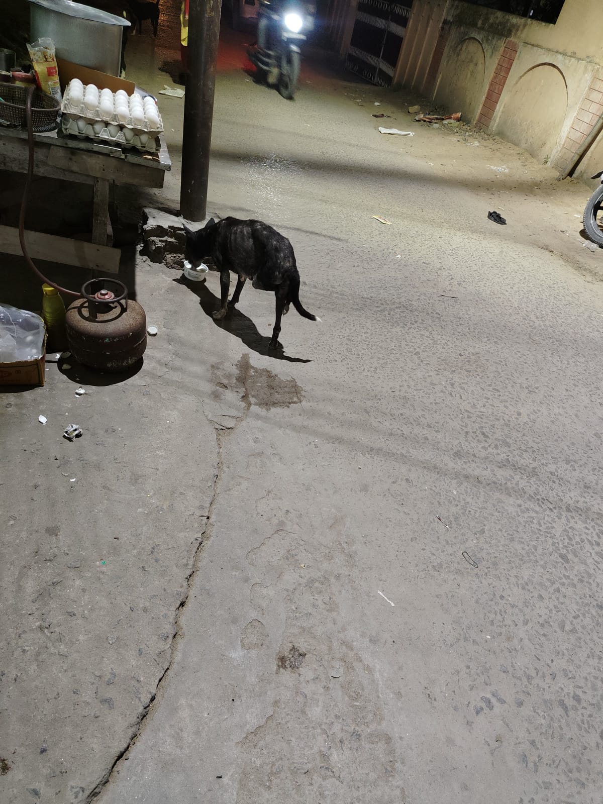 Active Emergency Animal Relief Drive