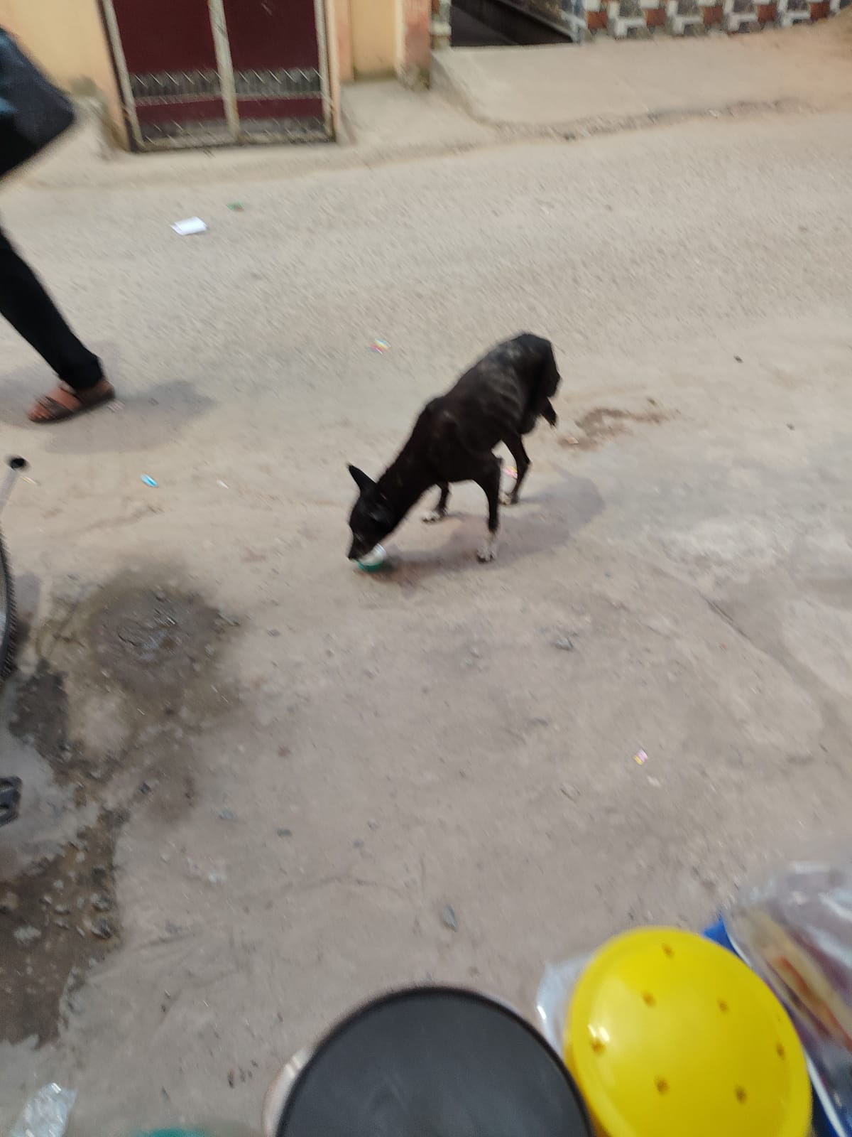 Monsoon Relief Food Bowl Distribution
